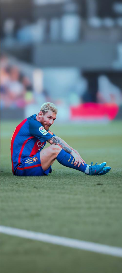 徐根宝：希望海港为中国足球输送更多人才，穆斯卡特功不可没（徐根宝：期待海港为中国足球培养更多人才，穆斯卡特贡献突出）